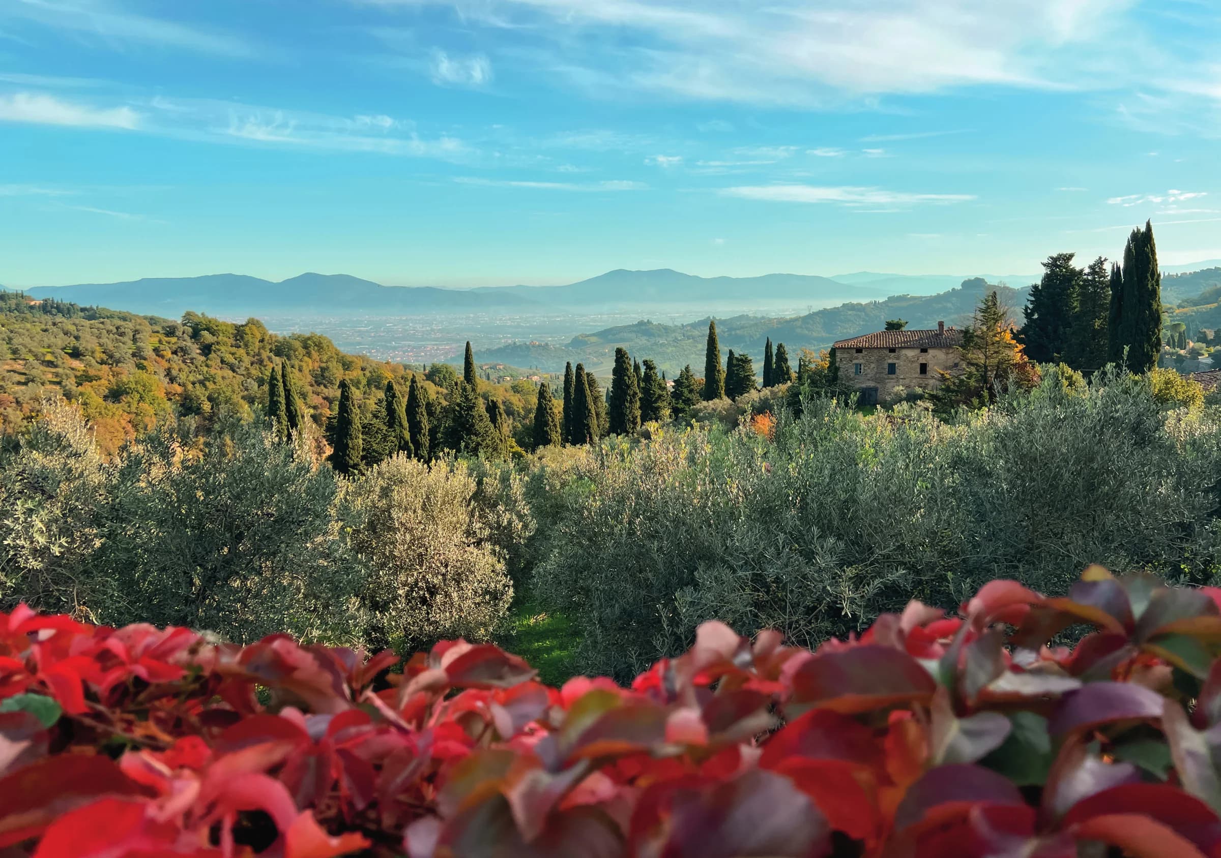 Tra arte e natura: le colline di Bacchereto fanno da tela di fondo alla creatività e regalano ispirazione e serenità.